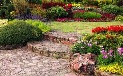 5 Razones por las que Necesitas un Jardín en tu Vida