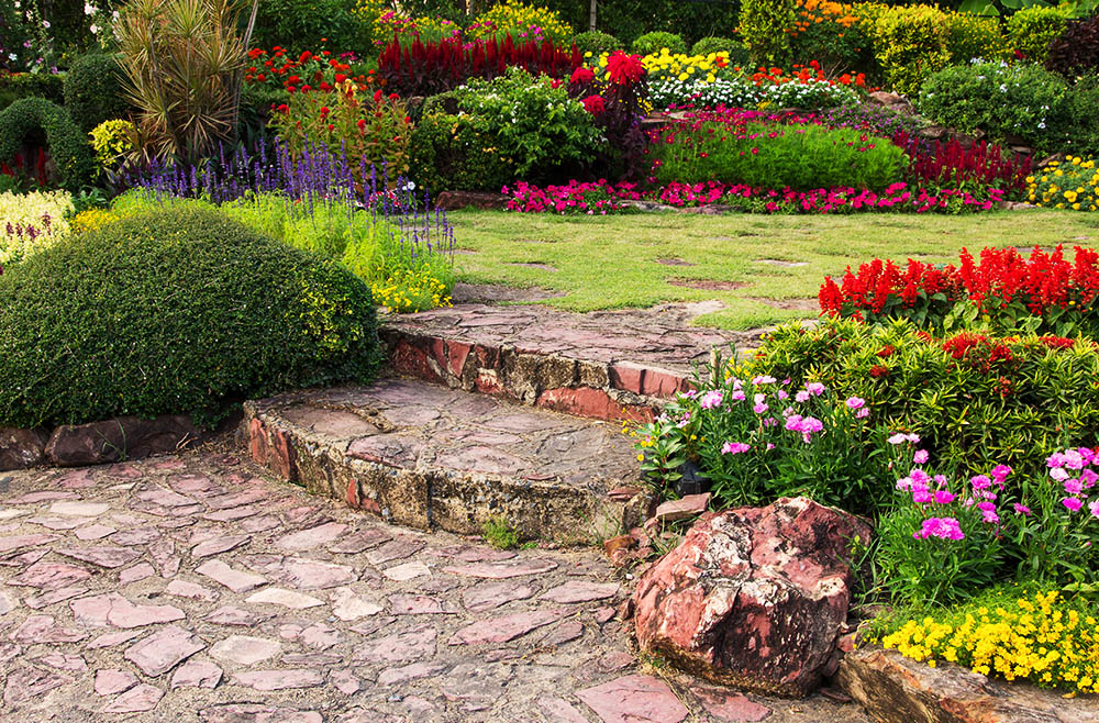 5 Razones por las que Necesitas un Jardín en tu Vida
